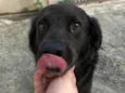 Vader