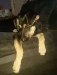 Nina  