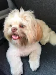 Theodor