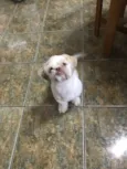 Theodor