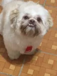 Theodor