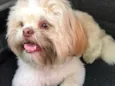 Theodor