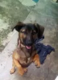 Vida