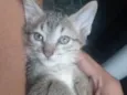 Sem nome