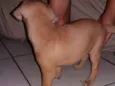 Luz