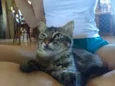 Boris