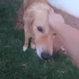 Bob