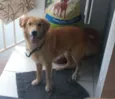 Bob