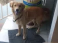 Bob