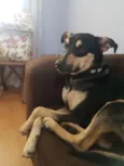 Paçoca