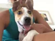 Lilica
