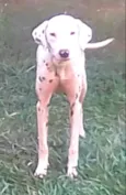 Marlei e Linda