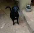 Eros