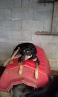 PRINCESA