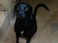Eros