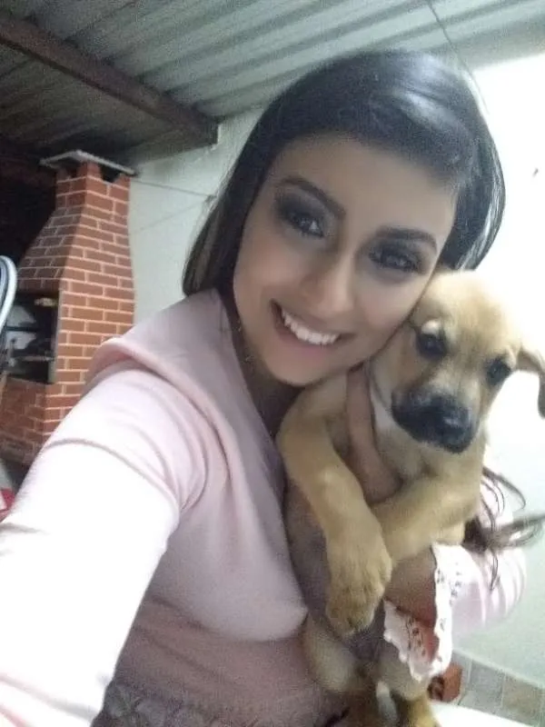 Cachorro ra a Vira Lata idade 2 a 6 meses nome Jack