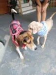 Tuti e Caramelo