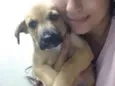 Jack