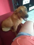 CATARINA
