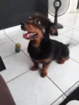 Tito