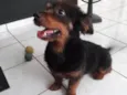 Tito