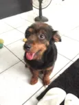 Tito