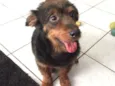 Tito
