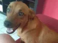 CATARINA