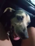 Tobias