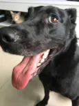 Kira