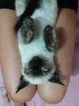 Lola