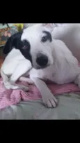 BRANQUINHA