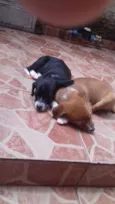 Nâo tem 