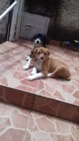 Nâo tem 