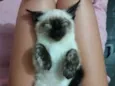 Lola