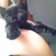 Bebezinhos