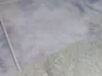 Felipe e Juliano