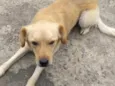 Marley