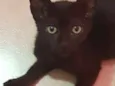 Pretinho lindo????