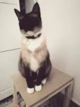 Jack