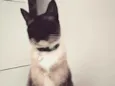 Jack