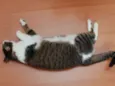 Nenenzinha