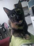 Nina
