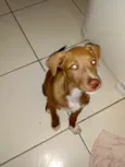 Charlie