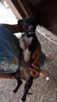 Myke Uvinha e lindão
