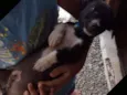 Myke Uvinha e lindão