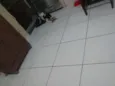 Pintada