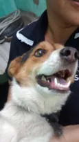 Bob