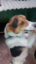 Bob