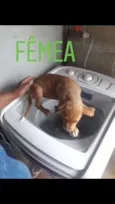 sem nome